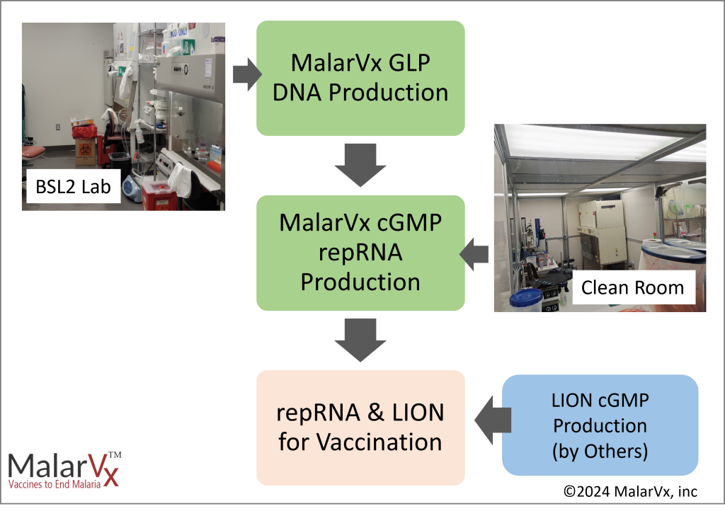 cGMP flow chart V2