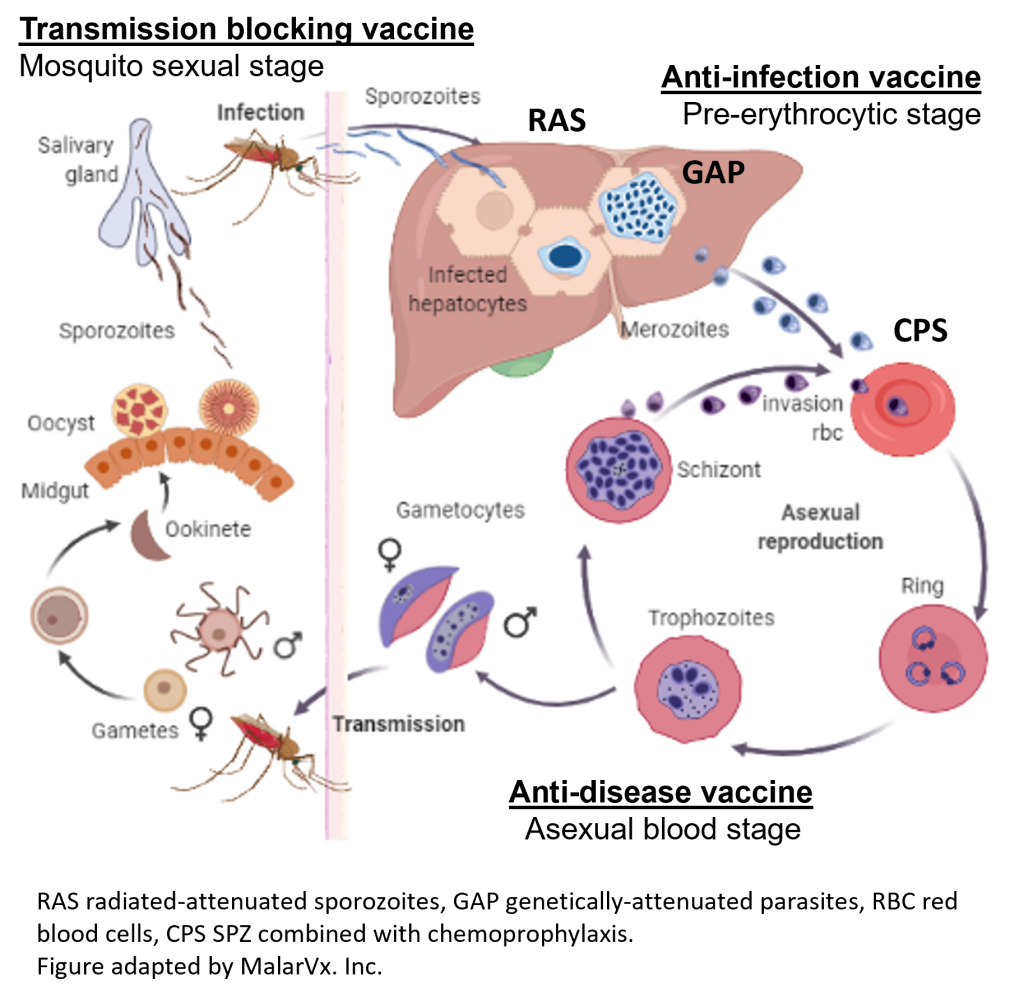 vaccine approach 2