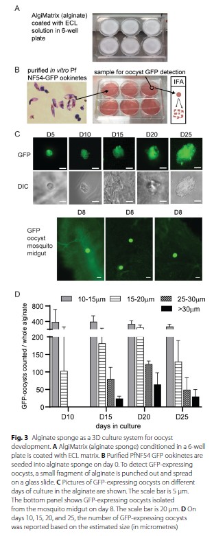 fig 3 Zhou et al2024
